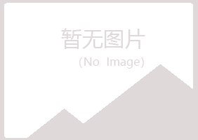 蛟河字迹媒体有限公司